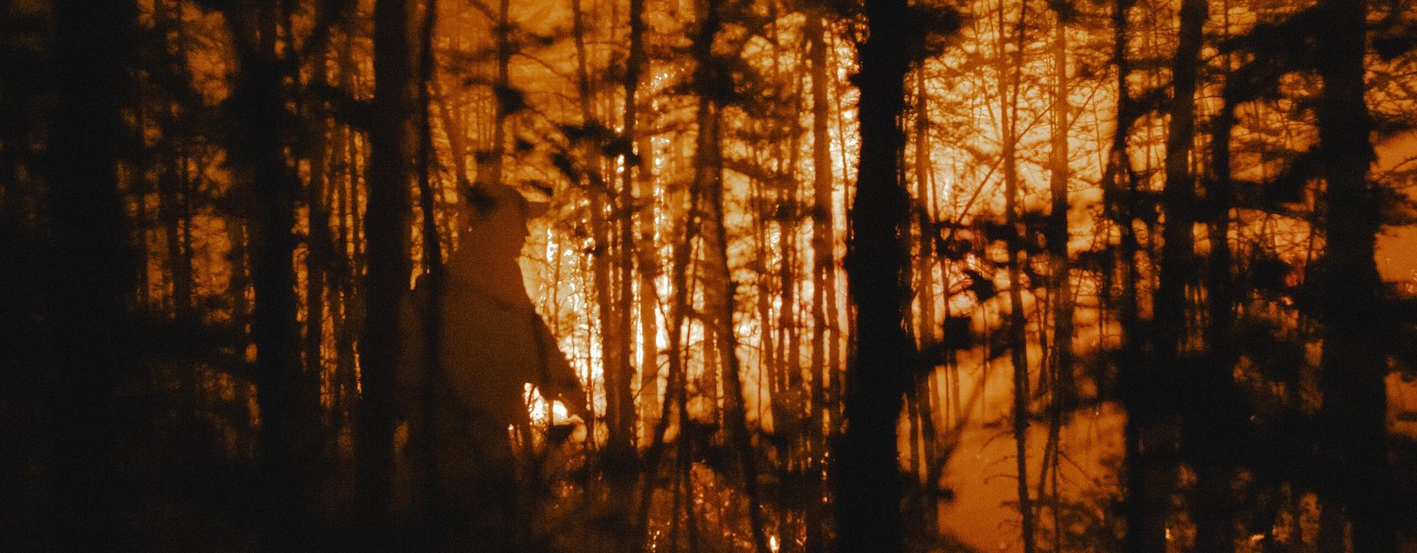 Trees in a forest appear in silhouette, backlit by bright orange flames filling the background. The silhouette of a person walking between the trees can be seen.
