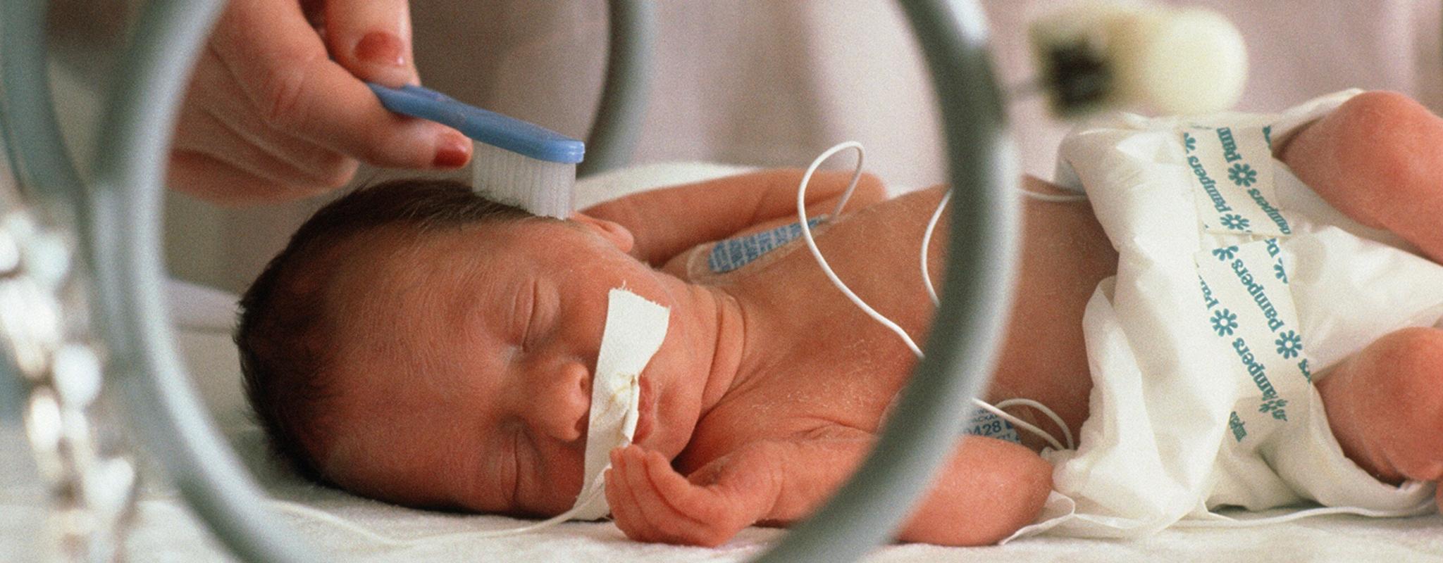 A premature baby lies in an incubator and has their hair brushed with a toothbrush