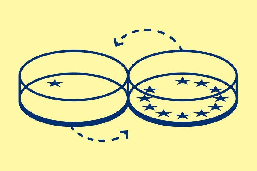 Illustration showing two petri dishes with EU flag stars