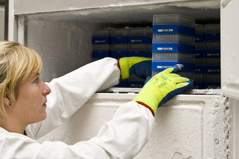 A woman scientist handling test tubes at UK Biobank.