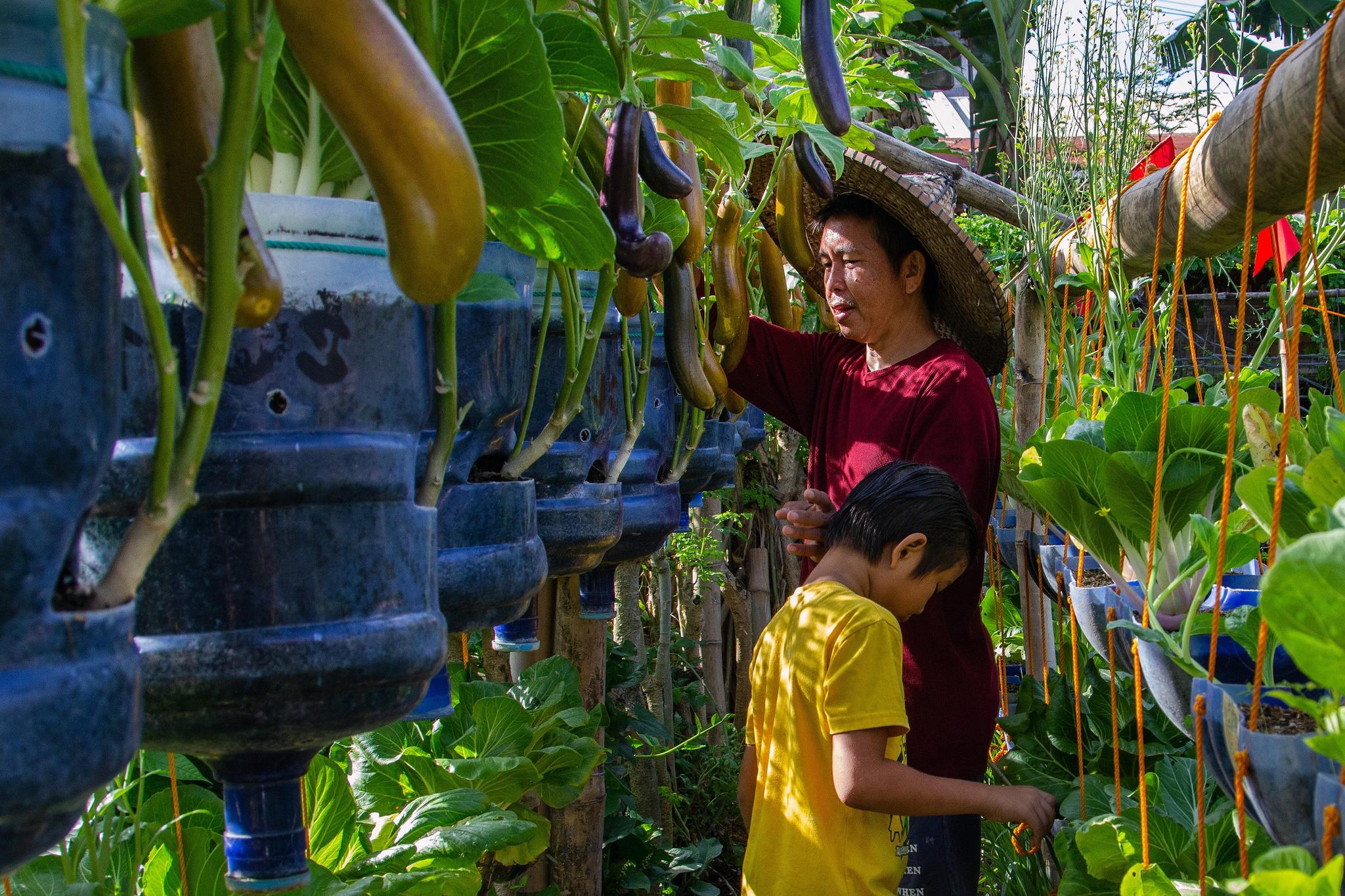A man and a child look through hanging vegetables in a garden.