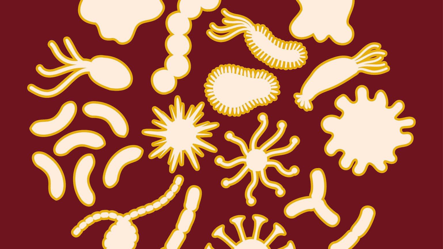 Illustration of yellow microbes against a red background.