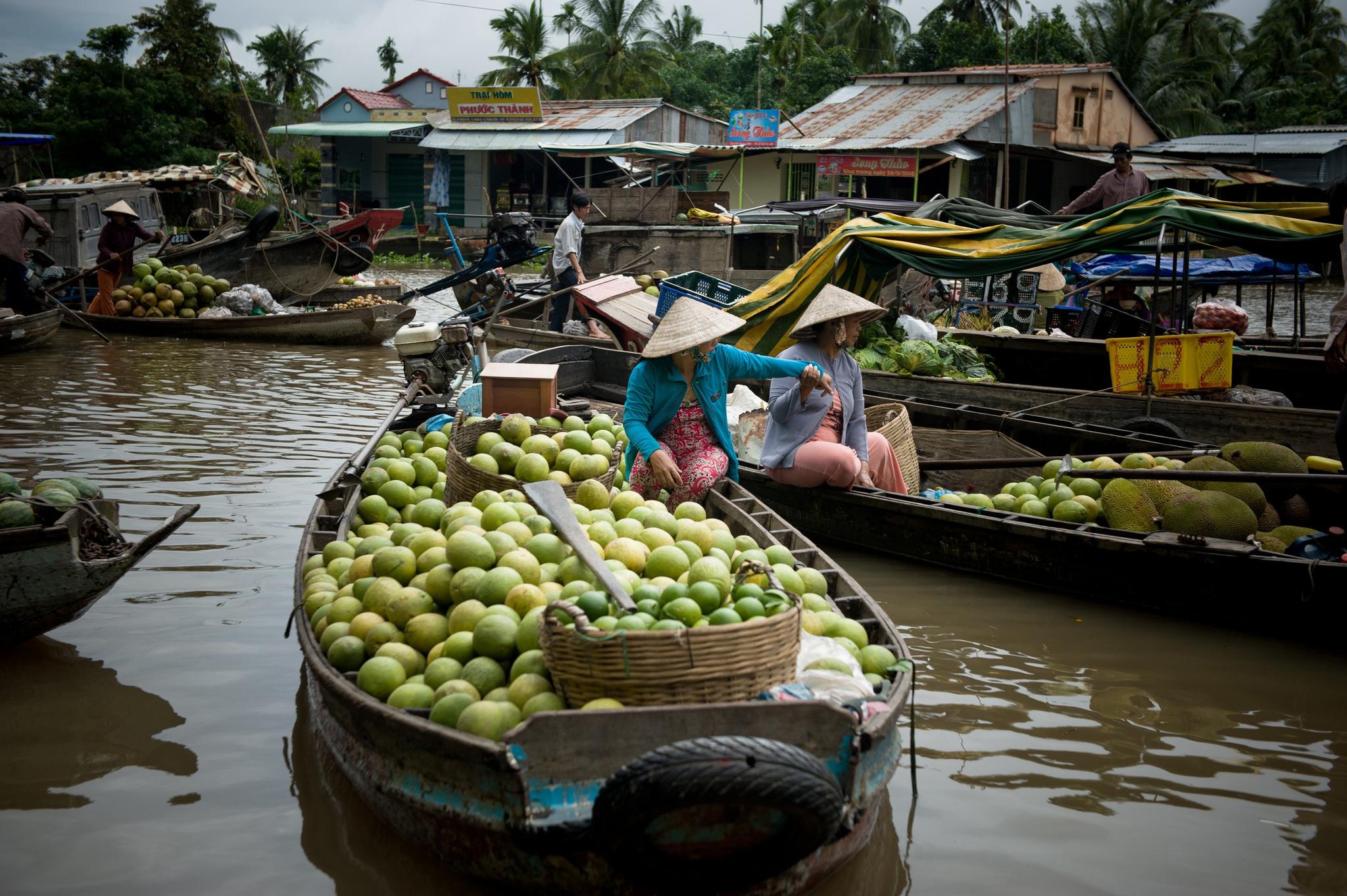 Boats filled with produce such as mangoes and jackfruit floating on a river. Women are seen on the boats selling the produce.