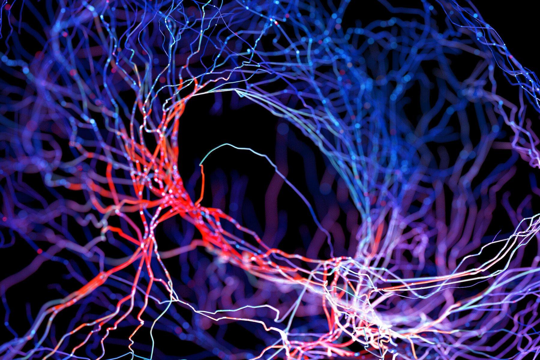 An abstract illustration of glowing blue, red and purple neurons on a black background, gives the impression of electricity or information passing through the spiral of tendrils.