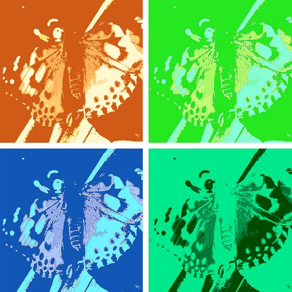 Pop art repeated image of a butterfly