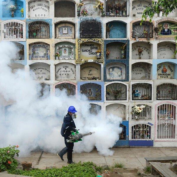 A man fumigates the Nueva Esperanza graveyard in the outskirts of Lima, Peru, to prevent the spread of the Chikunguya and Zika viruses.
