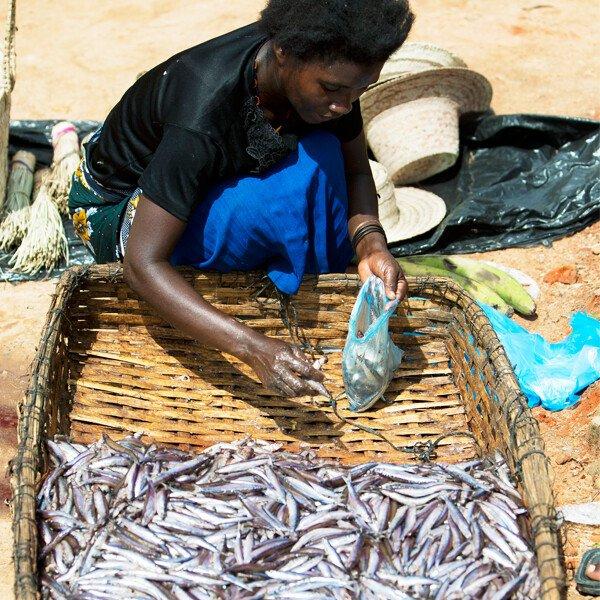 Woman fish seller in Malawi