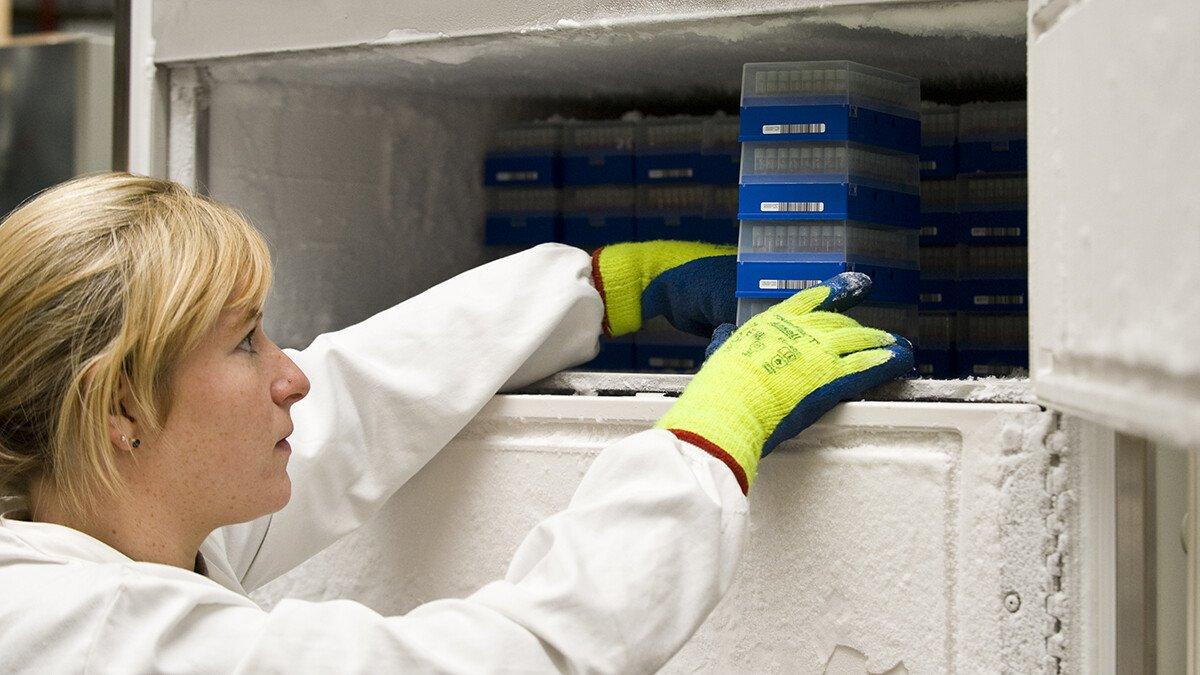 A woman scientist handling test tubes at UK Biobank.