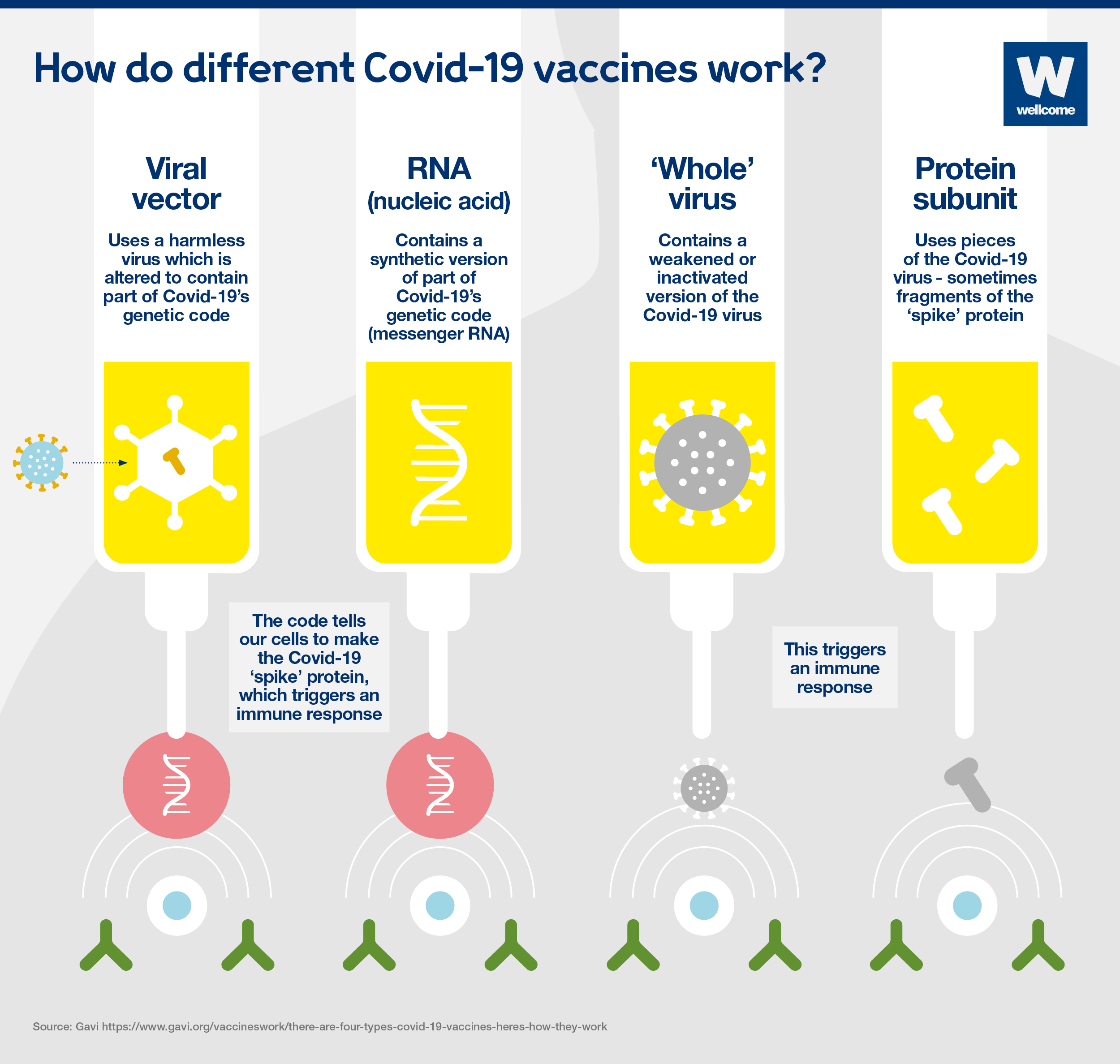 Types of covid vaccines different How They